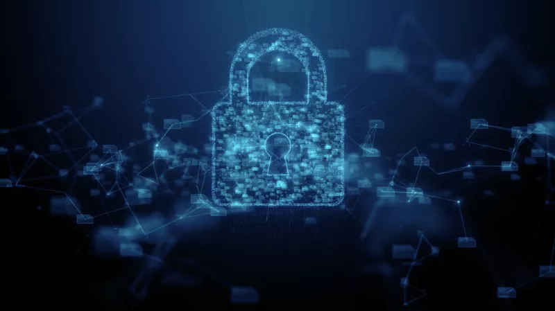 A Deep Dive into Vulnerability Analysis and Testing